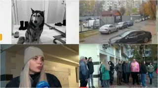 Съседи разкриха шокиращи подробности за наглия убиец на кучето Мая Видео