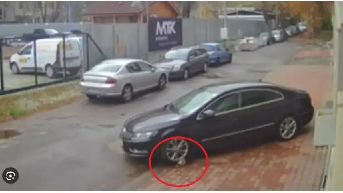 Първо в БЛИЦ! Подпукаха жестокия убиец на кучето Мая