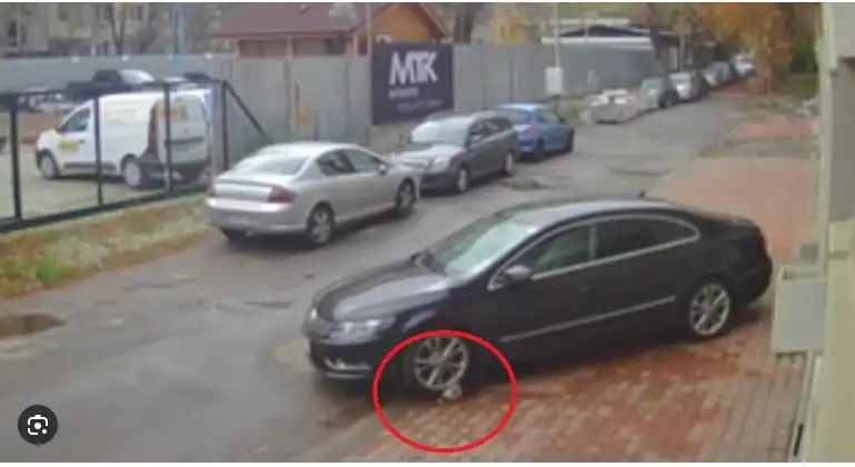Първо в БЛИЦ! Подпукаха жестокия убиец на кучето Мая