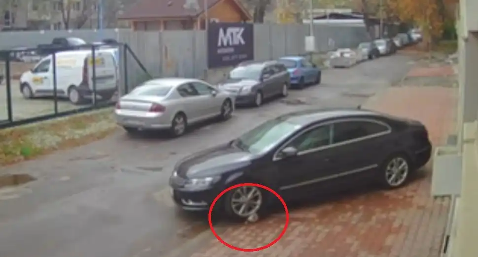 Ето го изрода Ненад Цоневски, който премаза кучето Мая с колата си Снимки