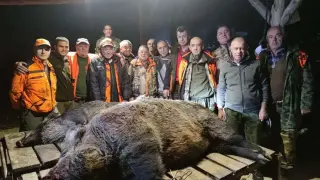 Наши ловци удариха над 350 кг звяр в Еленско Снимка