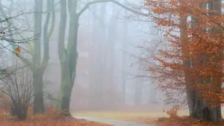 Времето ще ни подлуди! Голяма опасност ни дебне на тези места в събота