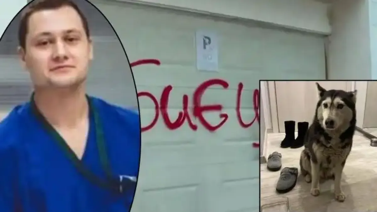 Разтърсващи разкрития от прокуратурата за убийството на кучето Мая!