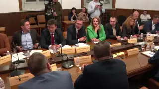 Енергийната комисия в НС преодоля ветото на Радев