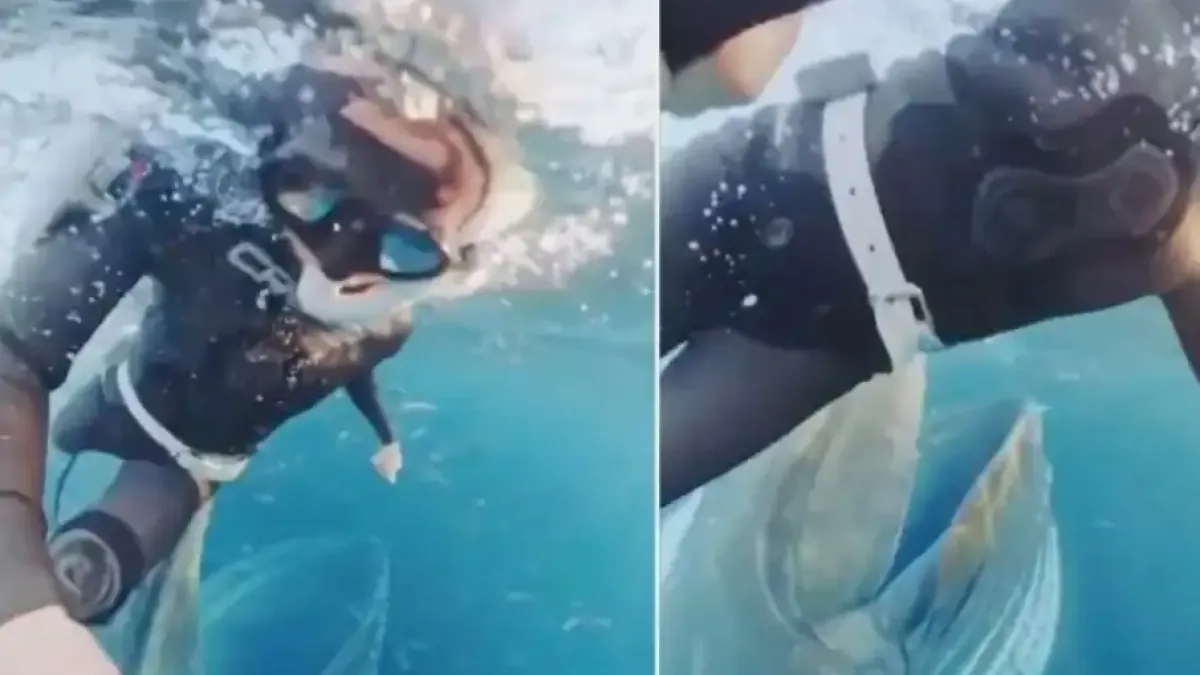 Вижте как кит едва не глътна жена Видео