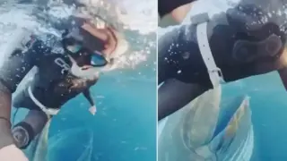 Вижте как кит едва не глътна жена Видео