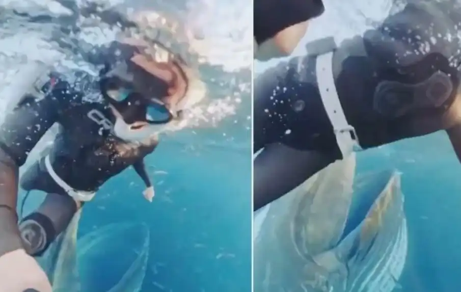 Вижте как кит едва не глътна жена Видео