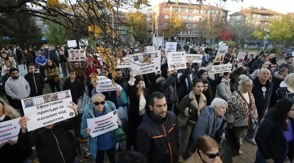 Гневът изкипя: Стотици на протест в София заради кучето Мая