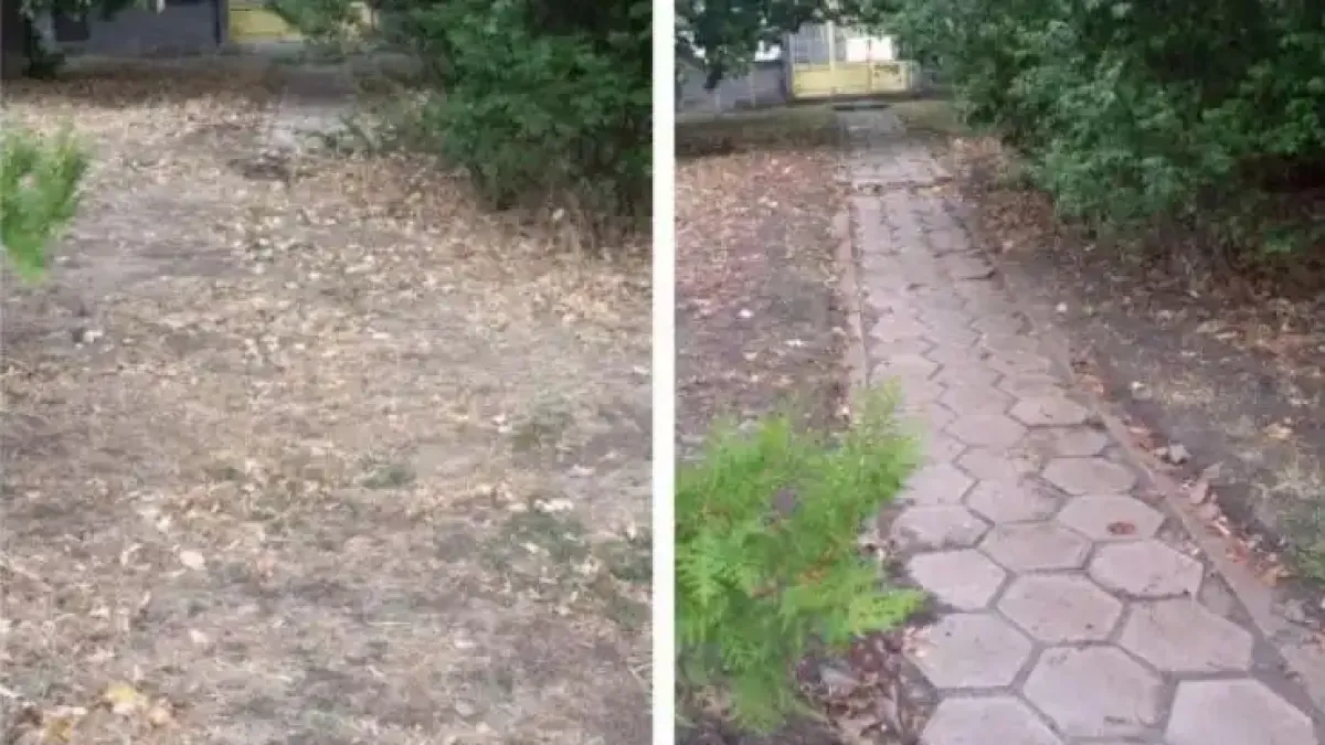 Като археолози: Столичани откриха и възстановиха стари алеи Снимки