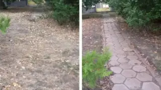Като археолози: Столичани откриха и възстановиха стари алеи Снимки