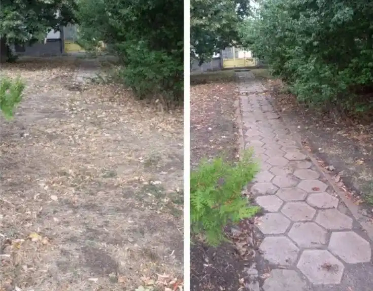 Като археолози: Столичани откриха и възстановиха стари алеи Снимки