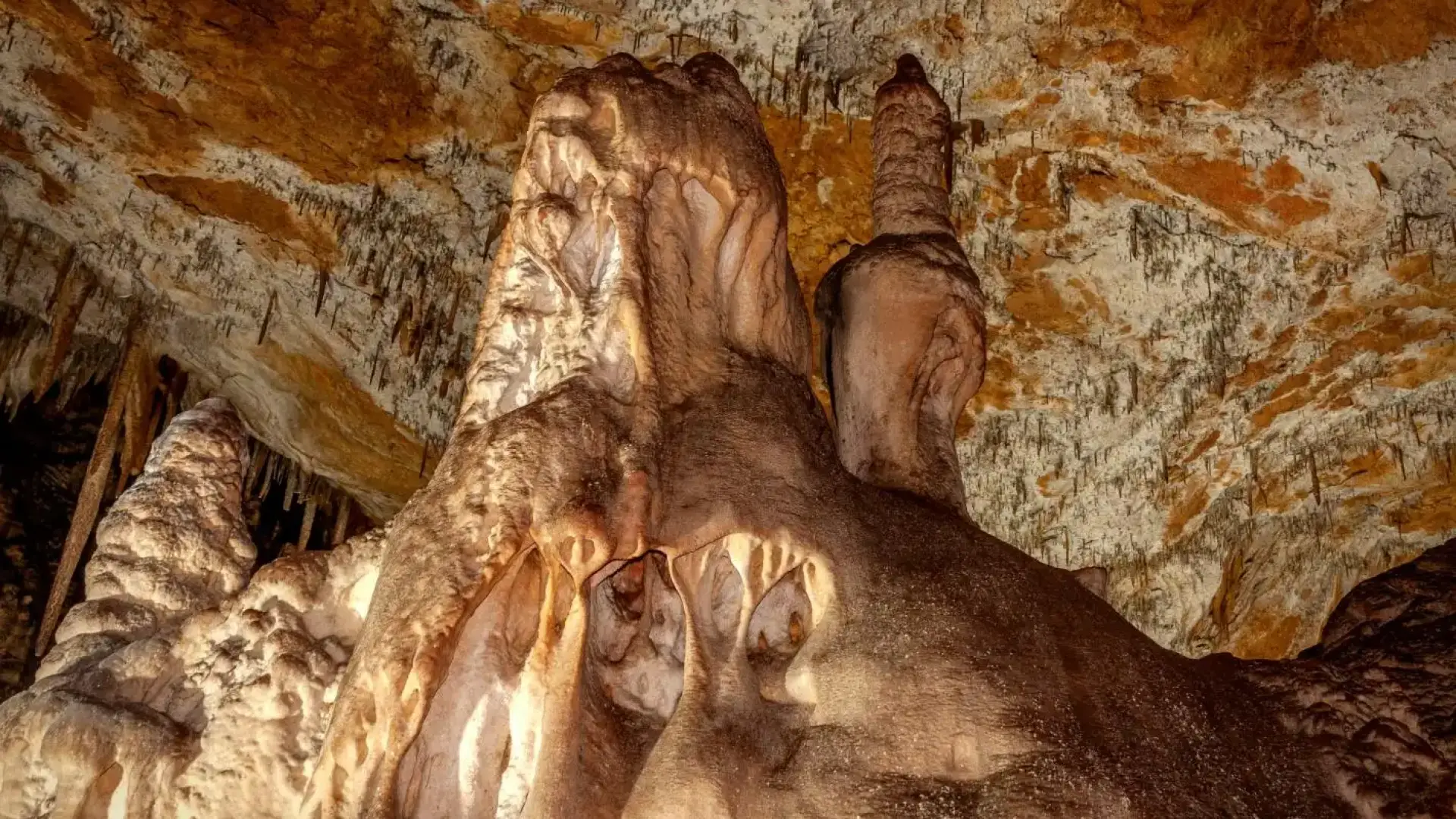 Малко известна наша пещера се оказа истинско скрито съкровище