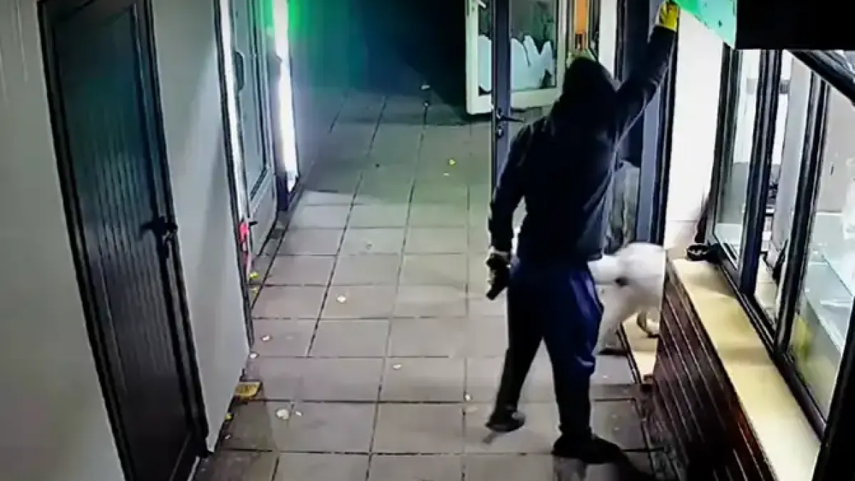Нови подробности за екшъна в заведение в Монтана, подозират кой стои в дъното на грабежа Видео