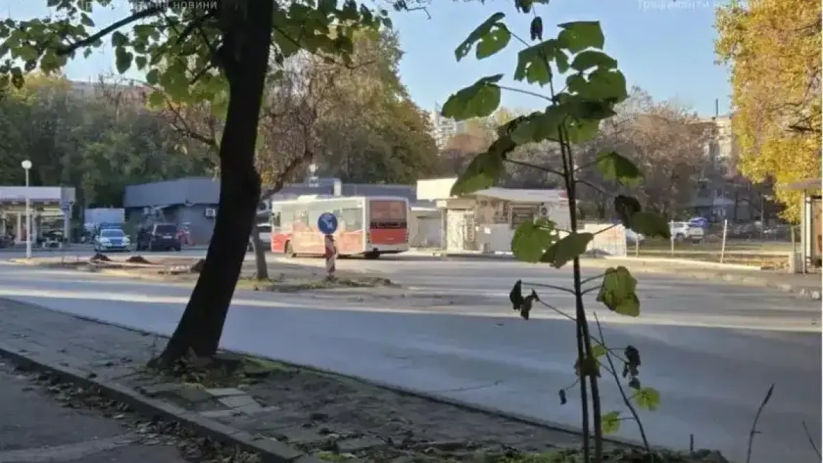 Нов тренд в Пловдив - да те затисне врата на автобус