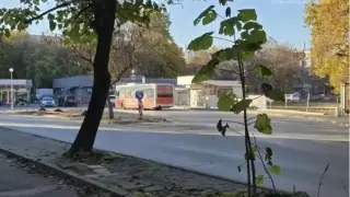 Нов тренд в Пловдив - да те затисне врата на автобус