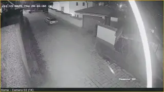 Свиреп звяр кръстосва улиците на Карлово, местните на нокти Видео