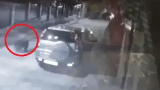 Карловка ужасена: Първо си помислих, че е куче. Тръгнах с дълги светлини и тогава видях – това беше...