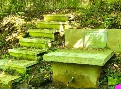 Вода от кладенец може да се окаже ключа към дълголетието на 130-годишния Йончо