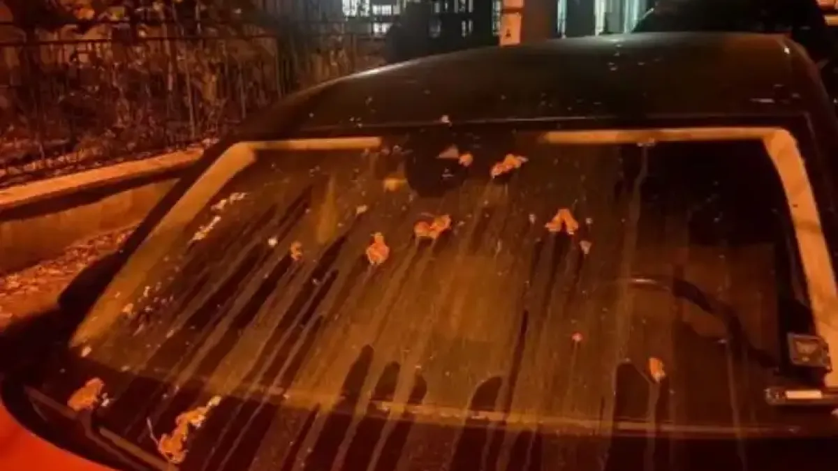 Млада столичанка отнесе миризливо отмъщение по колата си Снимки