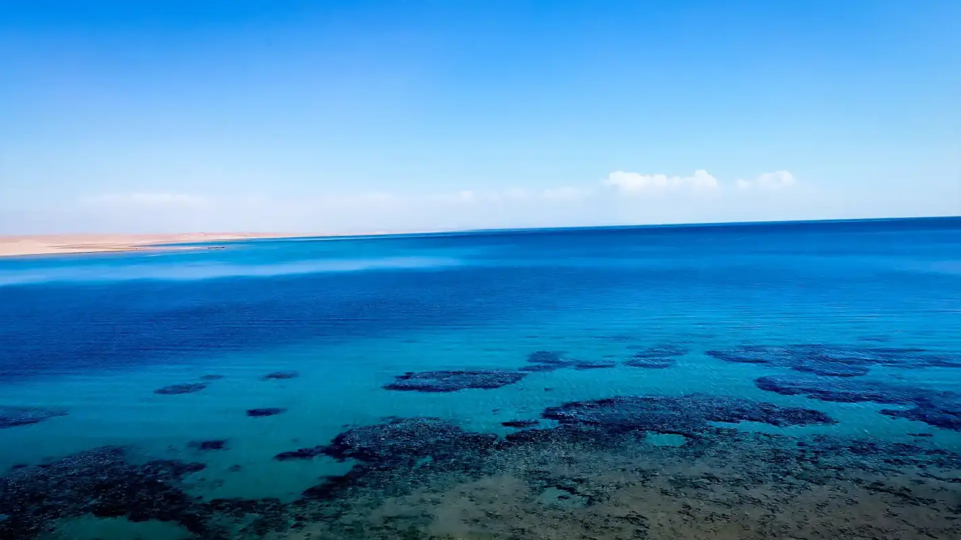 Учени с невероятно твърдение за Червено море