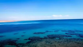 Учени с невероятно твърдение за Червено море