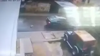 Зверство като с Мая: Шофьор прегази и уби малко кученце в Якоруда Видео 18+