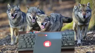 История за различните епохи: Дете с айфон и дете срещу вълци