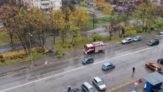 На косъм от трагедия в София, дърво падна върху човек Видео