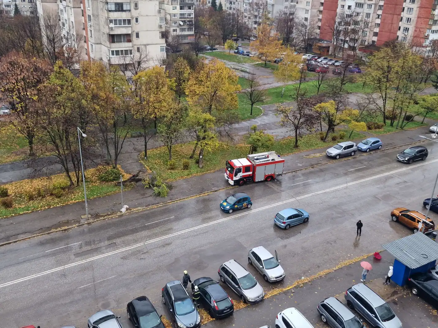 На косъм от трагедия в София, дърво падна върху човек Видео