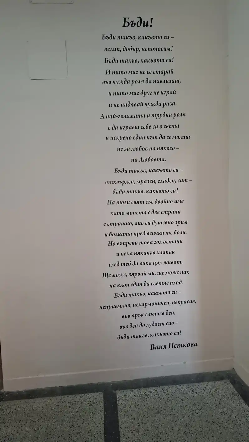 Стихотворение на Ваня Петкова изписаха на стената в читалището на с. Бяла Река Снимки