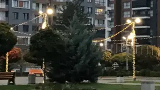 Толкова пари ще пръснем, не е за вярване! Гурбетчиите идат