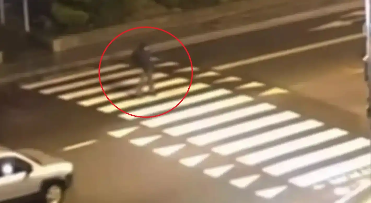 СДВР с кървави подробности за зверското меле в "Драгалевци" Видео 18+