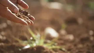Последни седмици за изгодна продажба на земя!