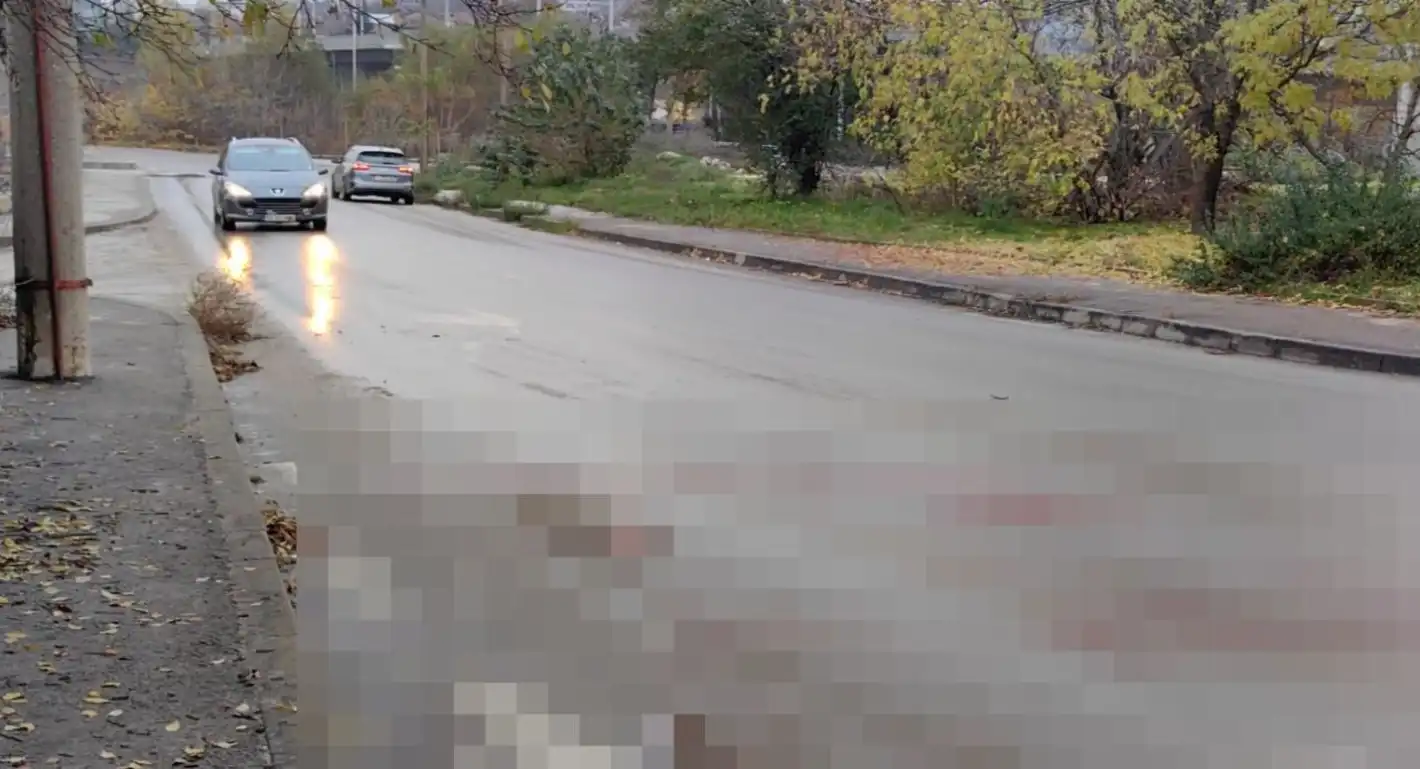 Тротинеткаджия в тежко състояние след удар в камион, шофьорът - в шок Видео