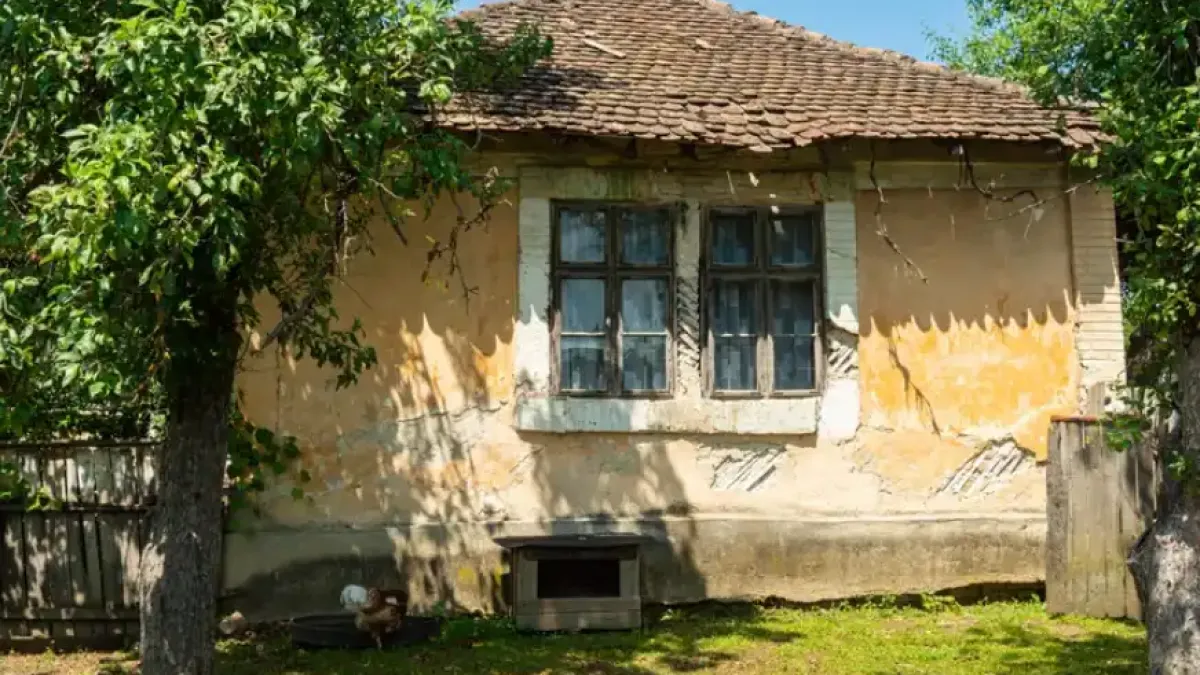 Сузана отказа да продаде къщата заради зетя без работа и едва тогава научи истината