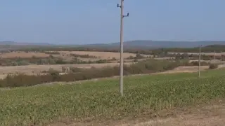 Вместо тютюн, Родопите намериха нова реколта за бъдещето Видео