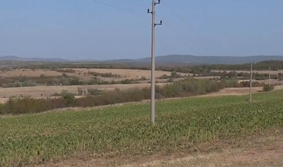 Вместо тютюн, Родопите намериха нова реколта за бъдещето Видео