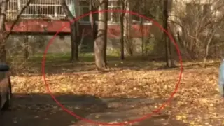 Ударът на Джуждето и Рочковия: Виктория получила обаждане от СДВР, колата ѝ я няма