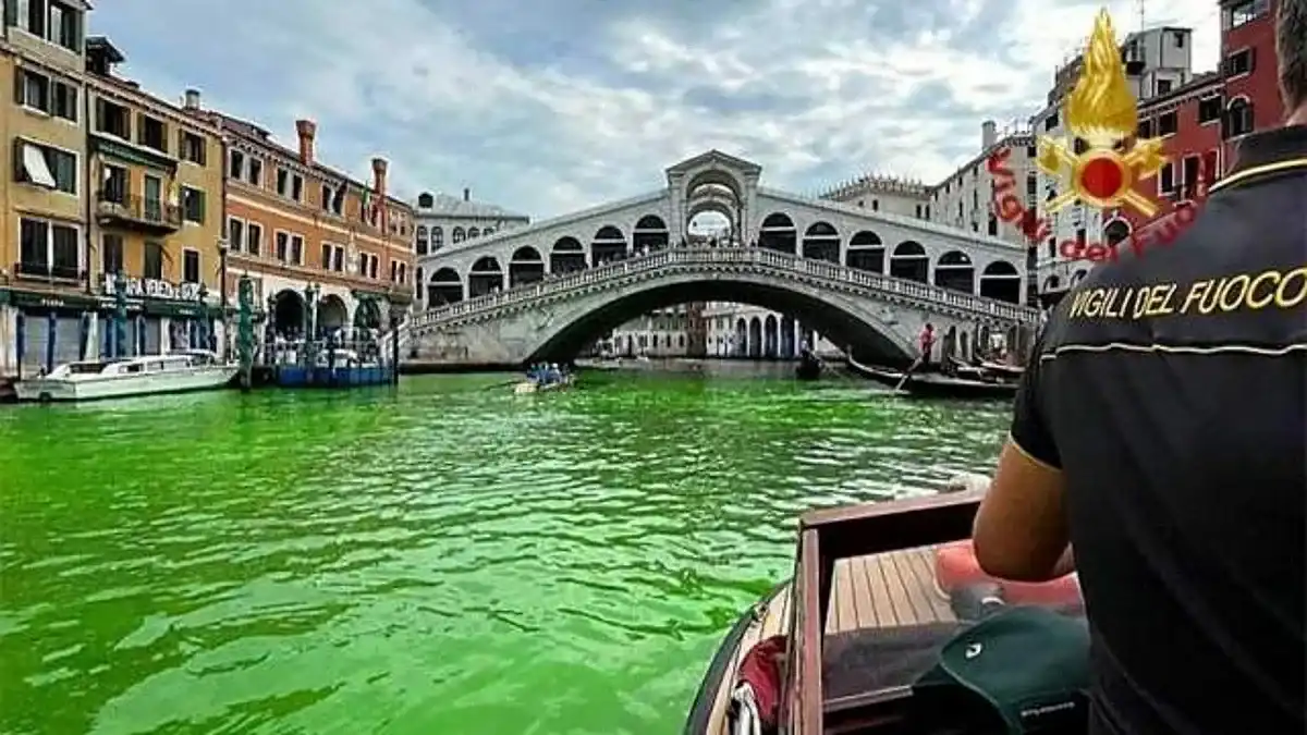 Невиждано във Венеция! Водата позеленя