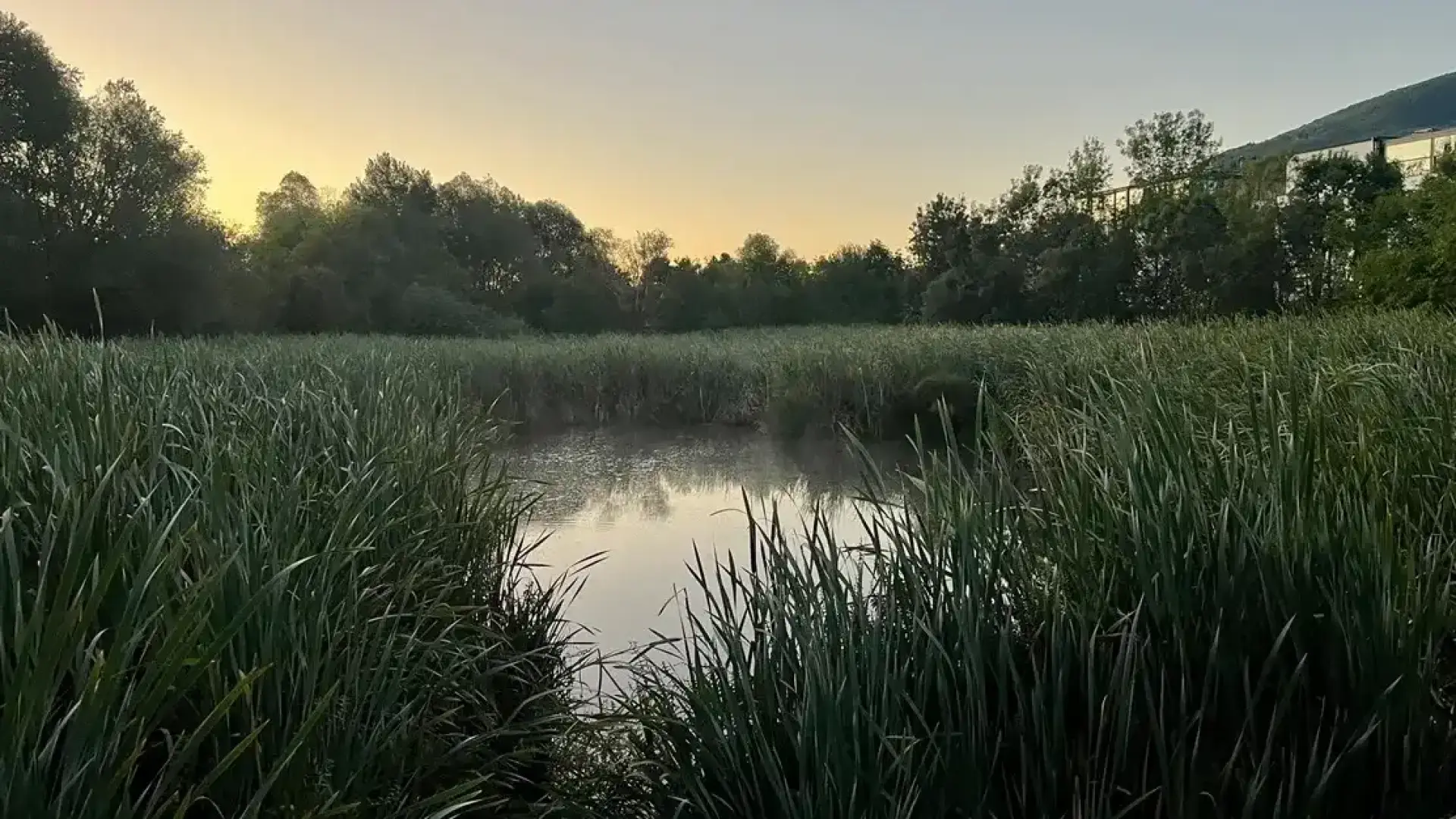 Спират строежа до Боянското блато