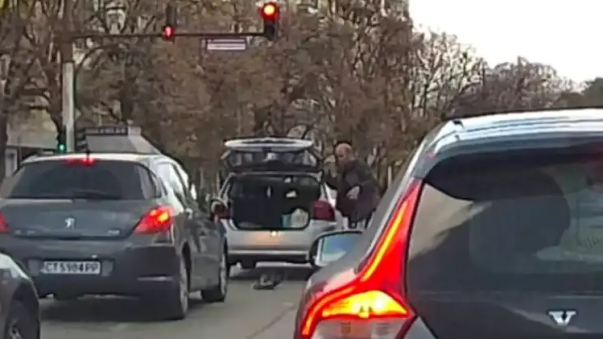 Жестока сцена: Ето какво направи мъж, докато чака на червен светофар в Казанлък Снимка