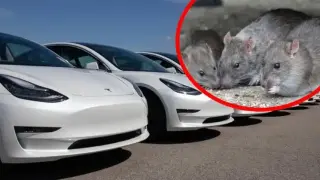 Страшна напаст удари Великобритания, щетите са за милиони, Tesla сред най-уязвимите