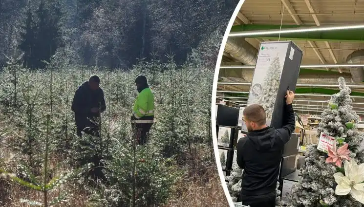Тази Коледа ще е по-различна, масово в домовете ни влизат...