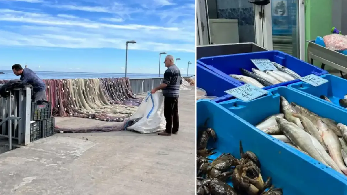 Драма за Никулден! Рибата не кълве, спасяваме положението със... Снимки