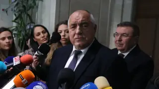Бойко: Вардят ме и воайорстват зад фикуса, ако бях премиер...