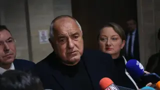 Дамянова заговори за действия на Борисов в тъмната нощ