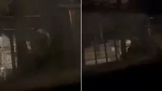Перверзник преследва момичета край Плевен, самозадоволява се пред къща Видео