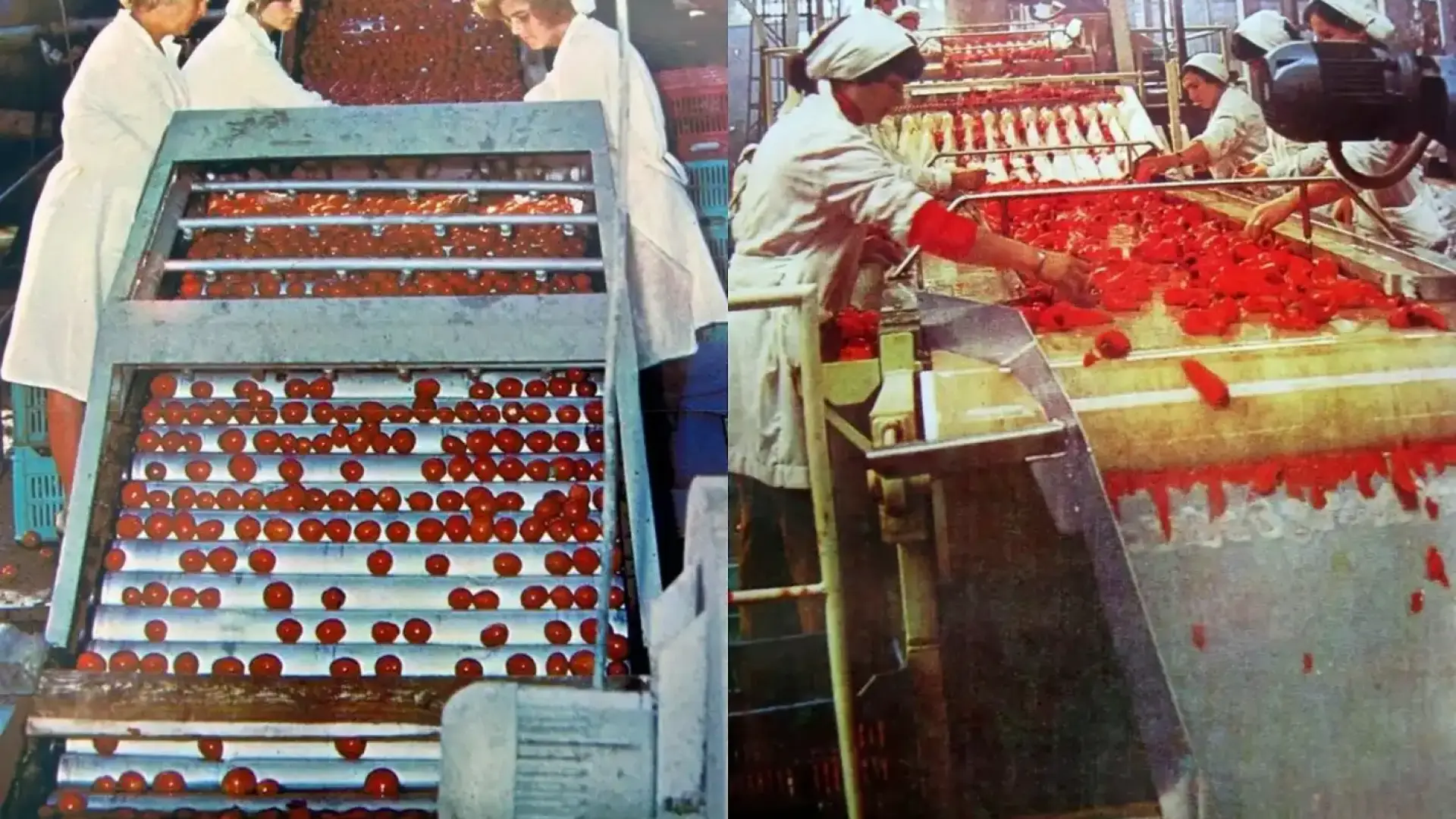 Извадиха на тезгяха легенда от соца