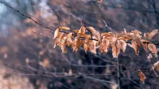 Силен вятър връхлита до часове отново, градусите в петък ще са...