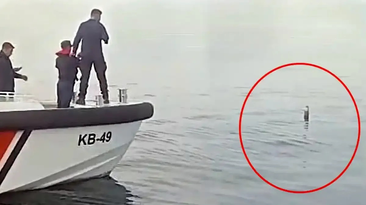Мистериозен ракетен двигател изплува до рибарска лодка в Черно море Снимка